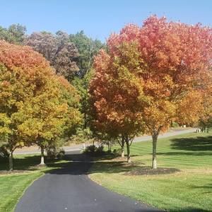 Meet your Posher, Edison